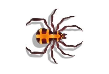 spider vector illustration top view 거미 일러스트 shadow white background
