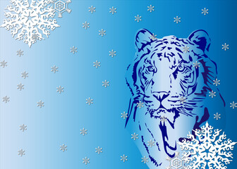 tiger in the snow