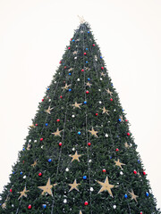 christmas tree and decorations