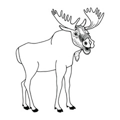 Elk. Vector stock illustration eps10. Isolate on white background, outline, hand drawing.