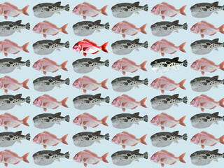 鯛河豚パターン水色 - obrazy, fototapety, plakaty