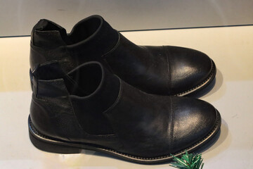 elegant women's leather shoes