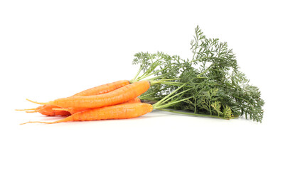 Bunch of carrots with green foliage on white background.