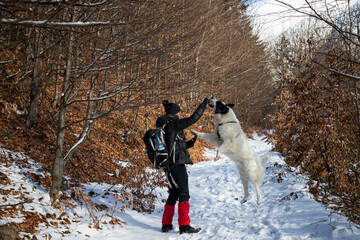 woman and white dog trekking in winter mountains