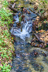 Small Meandering Stream