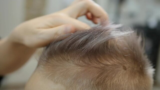 The hairdresser sprinkles white powder particles on the client's hair for volume and fixation of the hairstyle. Time lapse, close-up
