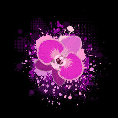 Orchid on a black background of blots . Vector illustration
