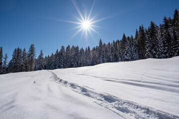 Obraz premium Sunny winter landscape in the Salzburger Land, Pinzgau, Austria