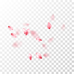 Japanese cherry petals on transparent background.