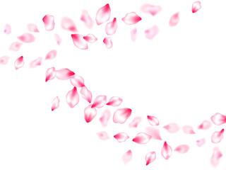 Japanese cherry blossom pink flying petals