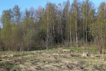 beautiful photo of the landscape of spring nature. Unique image for decoration and use.