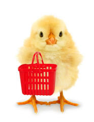 Crazy chick with red shopping basket. Funny baby animals buying and consumer concept