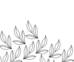 black and white flowers leaf 
Leaves 