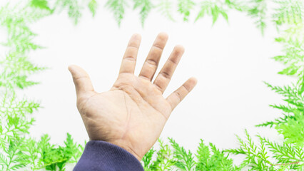 Fototapeta na wymiar Creative layout of colorful tropical leaves on white background male hand, novelty Christmas concept Minimal with copy space at Phuket Thailand.