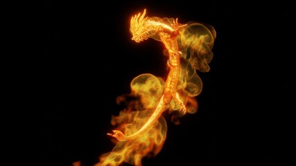 Obraz na płótnie Canvas Fire Dragon