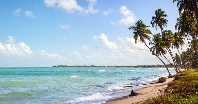 Praia Dos Carneiros" Imagens – Procure 289 fotos, vetores e vídeos | Adobe  Stock