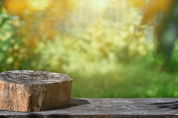 wooden table and burnt stump