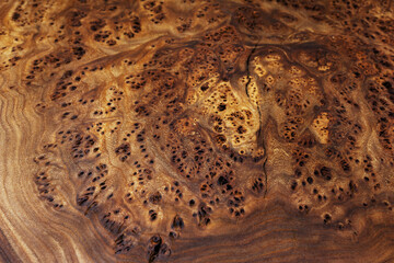 Extreme close-up, wood texture, wooden countertop slab, saw cut wood on black. Isolate. 