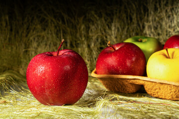 ripe apples on straw close-up