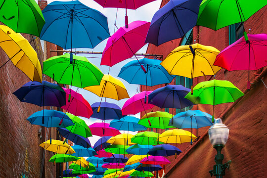 Colorful Umbrellas In An Alley, Redlands, California