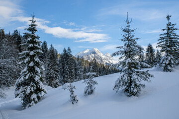 Idyllic snow-covered landscape with mountain range in the background, Unken, Pinzgau, Salzburger Land, Austria