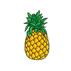 yellow fresh pineapple fruit vector design