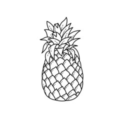 yellow fresh pineapple fruit vector outline design