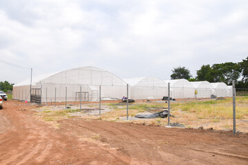 Fototapeta na wymiar Greenhouse for growing cannabis in a closed system.