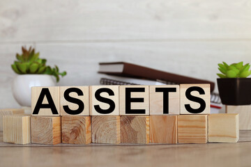 Assets. text on wood blocks. on wood background