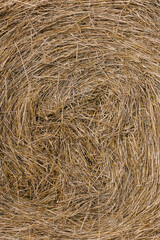 Haystacks gathered in a circle on a large field. A clear summer day, with a house in the background.