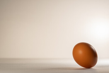 One chicken, brown egg, on a gray background. A brown, chicken egg rolls on a light base.