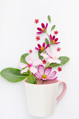 Composition of colorful flowers and leaves on a white background.