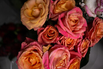 Fototapeta na wymiar Bouquet of orange and pink roses