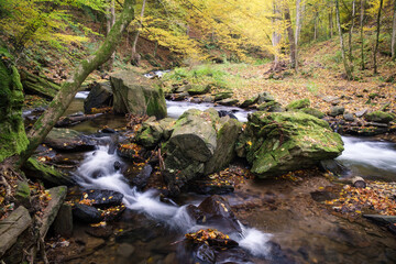 Beautiful view of the flowing rocky river surrounded by greens in autumn