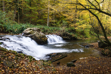 Beautiful view of the flowing rocky river surrounded by greens in autumn