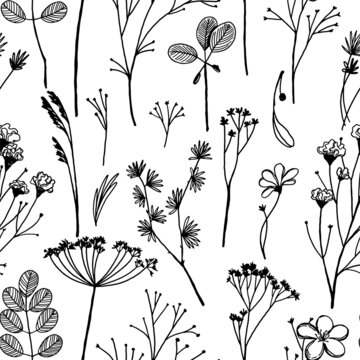 Wild plants seamless pattern. Hand drawn vector illustration. Floral ornament in retro style. Vintage botanical design for textile, wallpaper, background, decor.