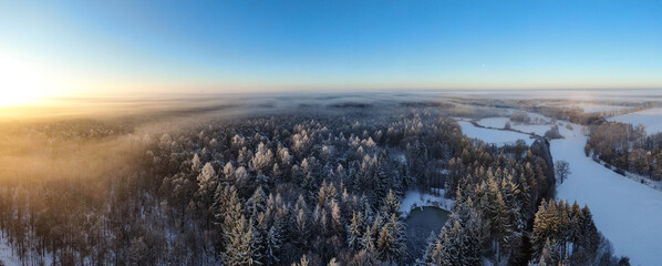 Beautiful panoramic shot of a winter forest with frozen trees on the background of sunrise sky.