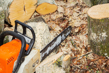 Close-up professional chainsaw blade cutting log of wood.