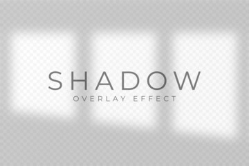 Shadow overlay effect. Transparent soft light and shadow from window frame and blinds. Mockup of transparent shadow overlay effect and natural lighting. Vector
