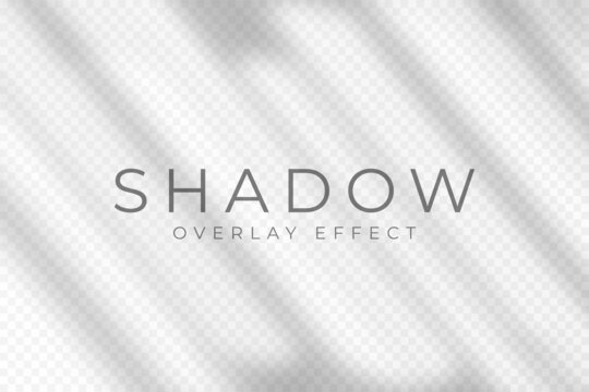 Shadow overlay effect. Transparent soft light and shadow from window frame and blinds. Mockup of transparent shadow overlay effect and natural lighting. Vector