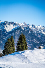 Fototapeta premium Berglandschaft / Winter