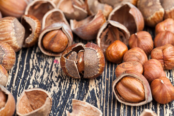 a large number of hazelnuts