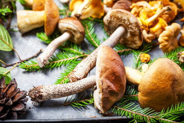 Assorted edible mushrooms on an old dark background. Vegetarian healthy product. Healthy lifestyle.