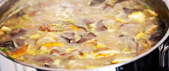 Assorted edible mushrooms on an old dark background. Vegetarian healthy product. Healthy lifestyle.