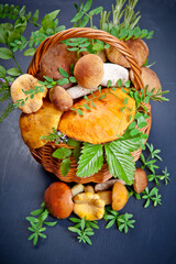 Assorted edible mushrooms on an old dark background. Vegetarian healthy product. Healthy lifestyle.