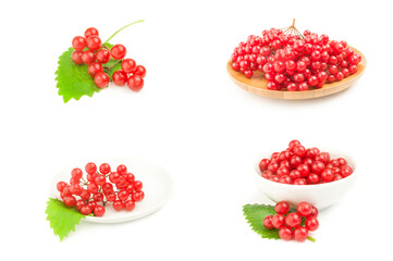 Collage of red berries of a guelder-rose isolated on a white background cutout