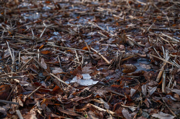 冬の凍った地面