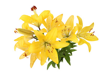 Yellow lily flower bouquet isolated on white background.