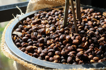 Fototapeta premium Dried coffee beans in a plant pot