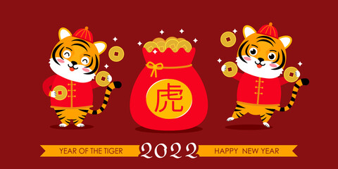 set of tiger cubs in traditional Chinese costume with gold money. happy chinese new year.